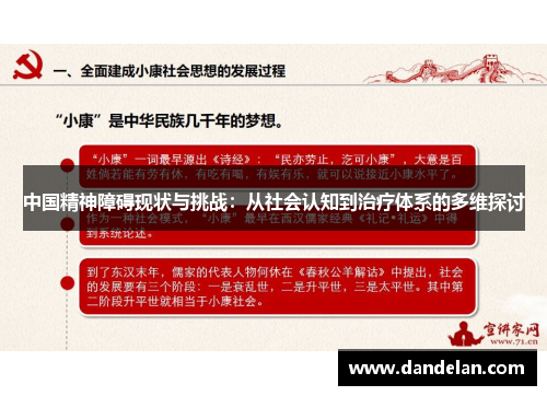 中国精神障碍现状与挑战：从社会认知到治疗体系的多维探讨