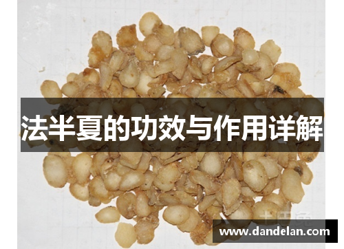 法半夏的功效与作用详解