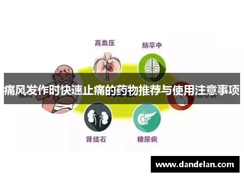 痛风发作时快速止痛的药物推荐与使用注意事项