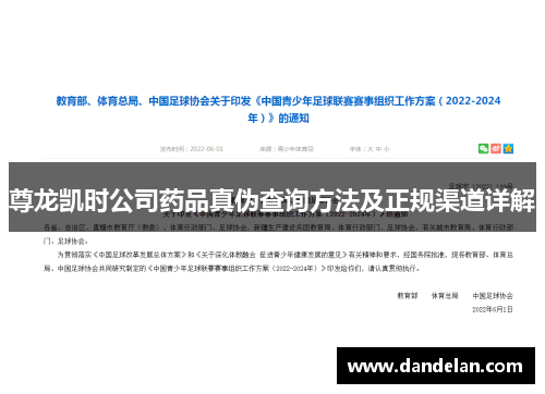 尊龙凯时公司药品真伪查询方法及正规渠道详解