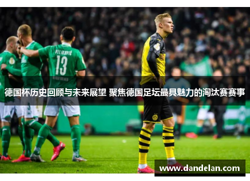 德国杯历史回顾与未来展望 聚焦德国足坛最具魅力的淘汰赛赛事